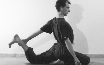 Râjakapotanâsana : la colombe